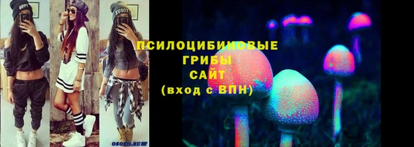 ешки Алексин