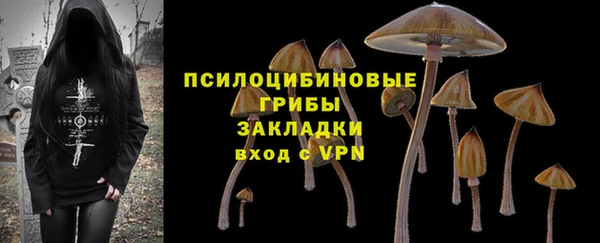 ешки Алексин