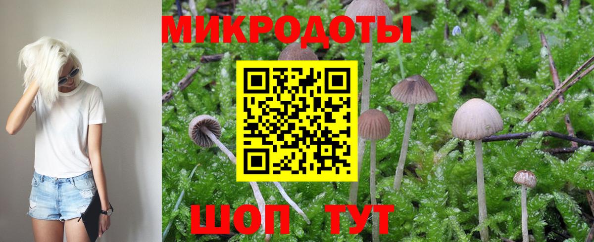 Галлюциногенные грибы MAGIC MUSHROOMS Тамбов