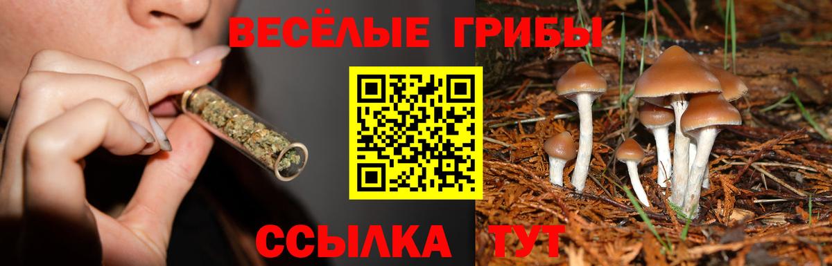 Псилоцибиновые грибы мухоморы  Вход с VPN  Тамбов 